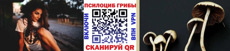 Галлюциногенные грибы Cubensis Новая Усмань